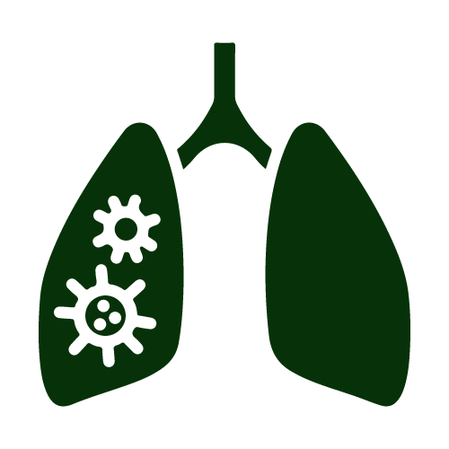 Respiratory Diseases